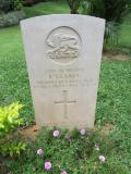 image of grave number 543407
